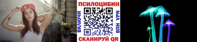 Галлюциногенные грибы Cubensis хочу наркоту Чишмы
